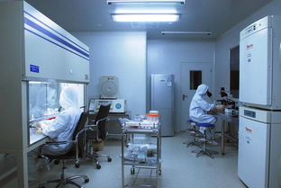 净化车间洁净报价全解析 厂家选择与净化工程要点